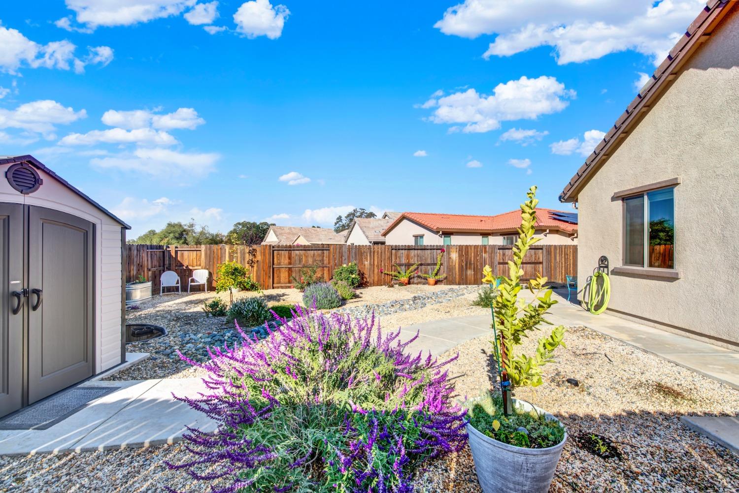 Detail Gallery Image 66 of 86 For 509 Lupine, Ione,  CA 95640 - 3 Beds | 2 Baths