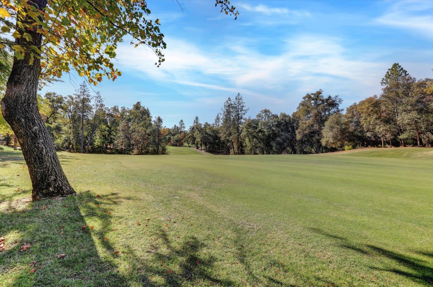 Detail Gallery Image 68 of 89 For 18527 Jayhawk Dr, Penn Valley,  CA 95946 - 3 Beds | 3 Baths