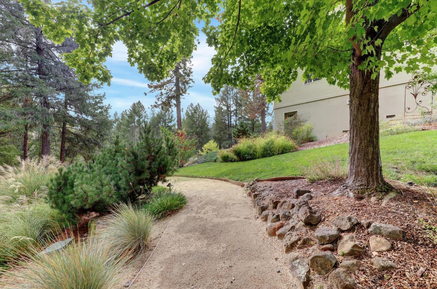 Detail Gallery Image 80 of 99 For 595 Clay Canyon Ct, Colfax,  CA 95713 - 4 Beds | 3/1 Baths