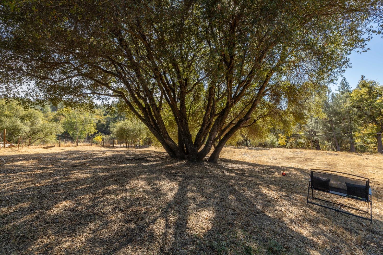 Detail Gallery Image 34 of 48 For 8017 Perry Creek Rd, Somerset,  CA 95684 - 3 Beds | 1/1 Baths