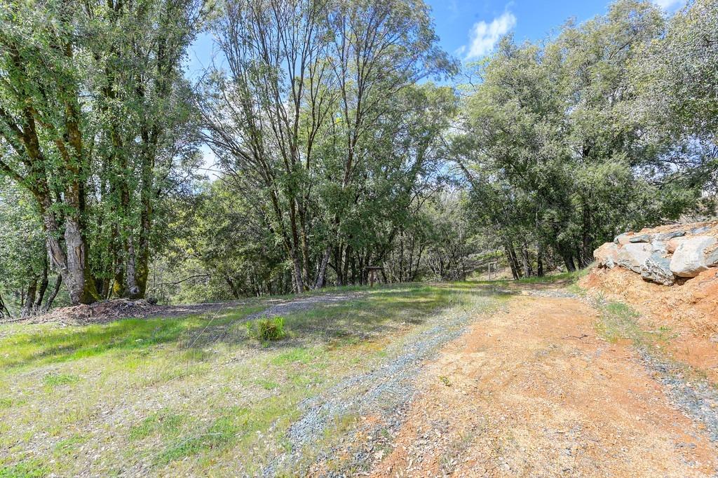 Lot 3 Cuckoo Court, Applegate, California image 14