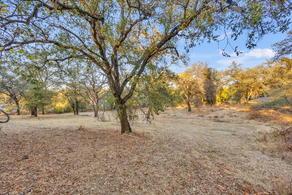 Detail Gallery Image 53 of 68 For 6900 English Colony Way, Penryn,  CA 95663 - 4 Beds | 3 Baths