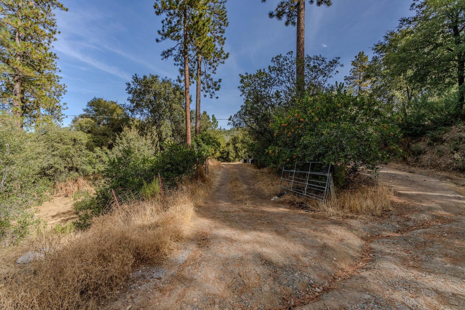 Detail Gallery Image 61 of 79 For 20111 Canyon View Rd, Jackson,  CA 95642 - 2 Beds | 2/1 Baths