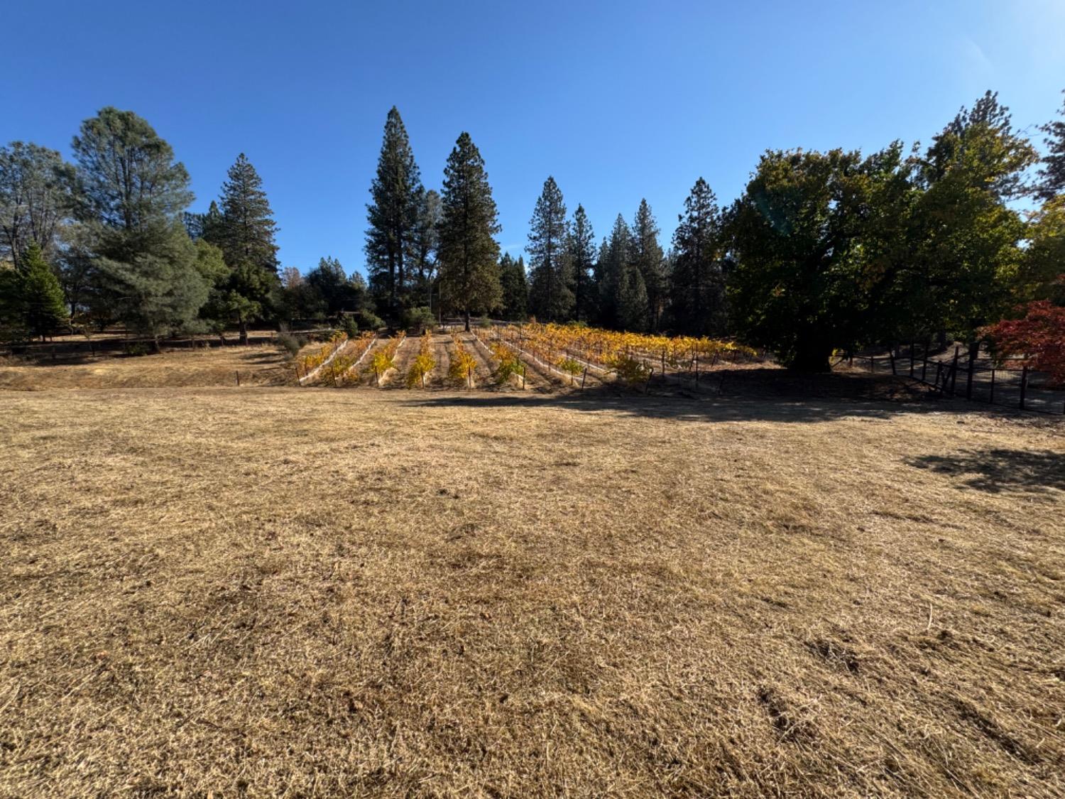 Detail Gallery Image 97 of 99 For 5205 Rooster Ln, Somerset,  CA 95684 - 2 Beds | 2 Baths