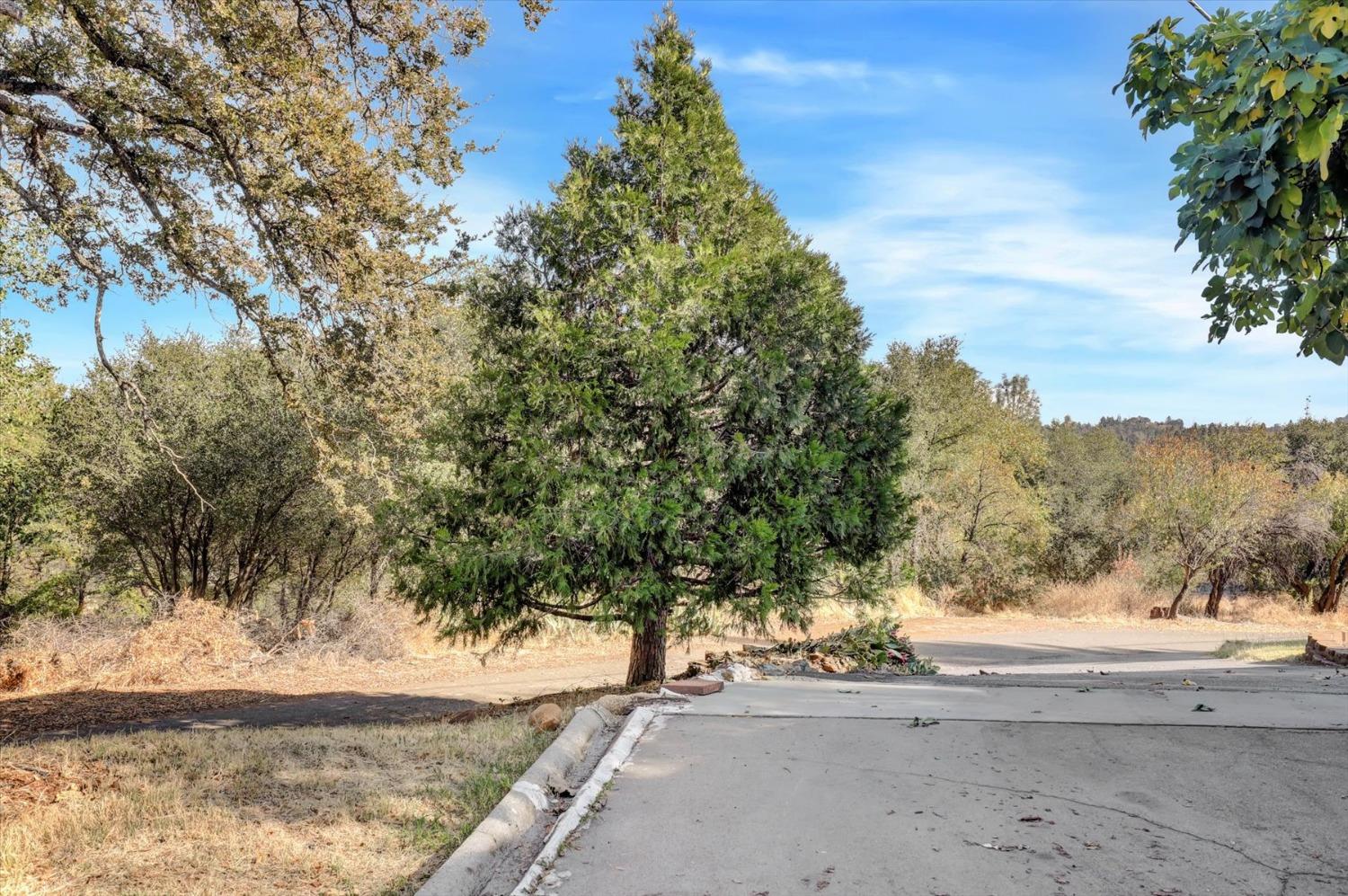 Detail Gallery Image 53 of 64 For 190 Buena Vista St, Auburn,  CA 95603 - 2 Beds | 2 Baths