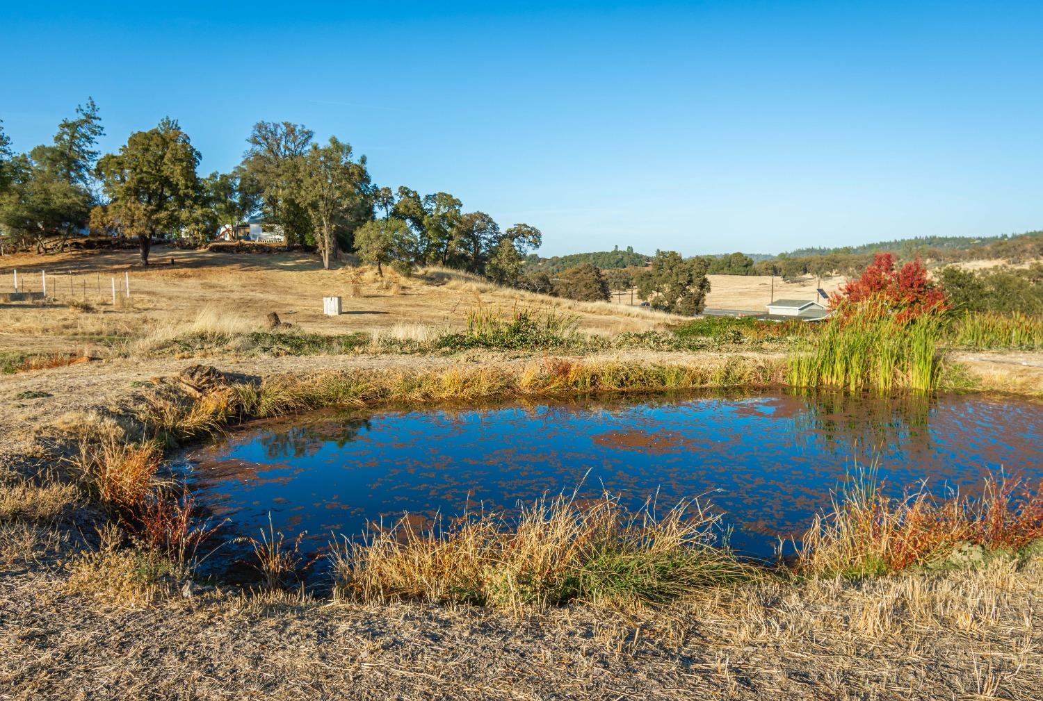 Detail Gallery Image 74 of 99 For 11970 Lorenson Rd, Auburn,  CA 95602 - 2 Beds | 2 Baths