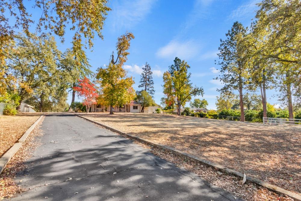 Filbert Avenue, Orangevale, California image 3