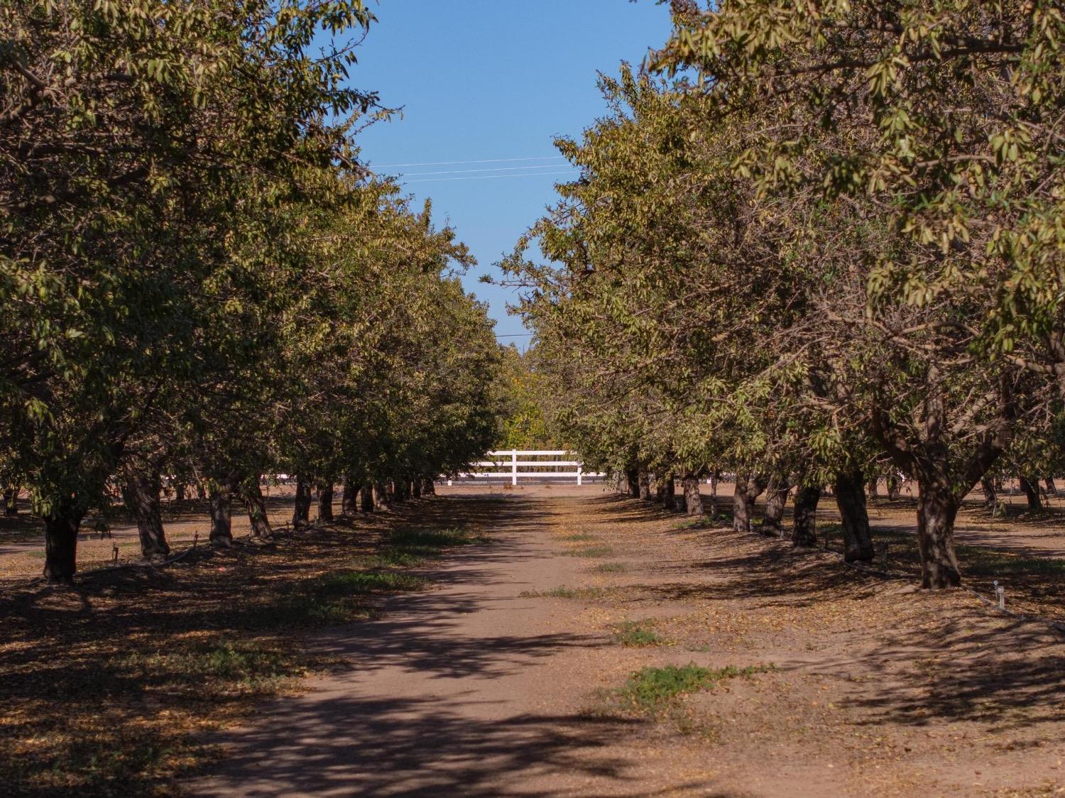 Detail Gallery Image 63 of 67 For 30324 E Lone Tree Rd, Oakdale,  CA 95361 - 3 Beds | 2/1 Baths