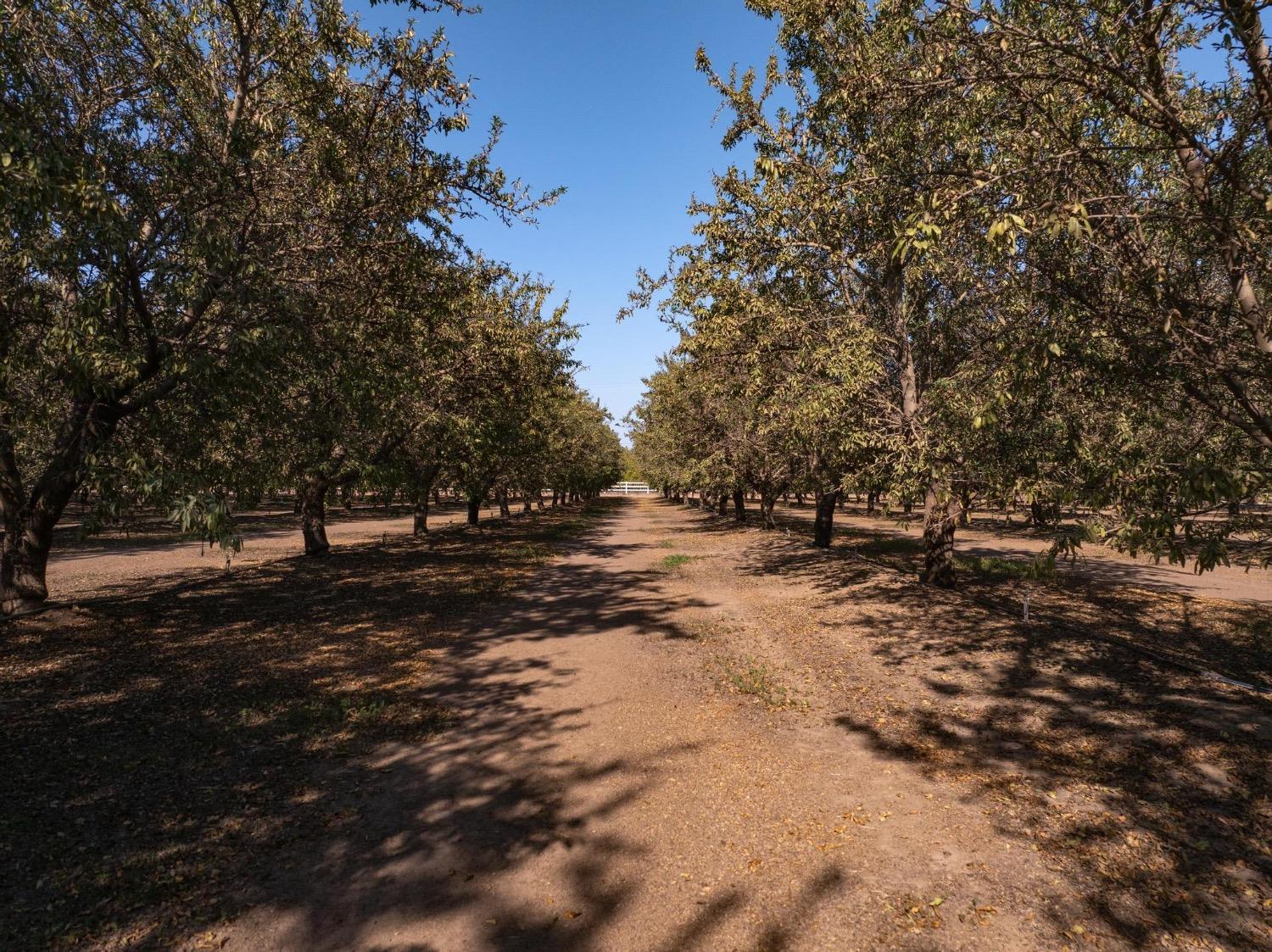 Detail Gallery Image 62 of 67 For 30324 E Lone Tree Rd, Oakdale,  CA 95361 - 3 Beds | 2/1 Baths