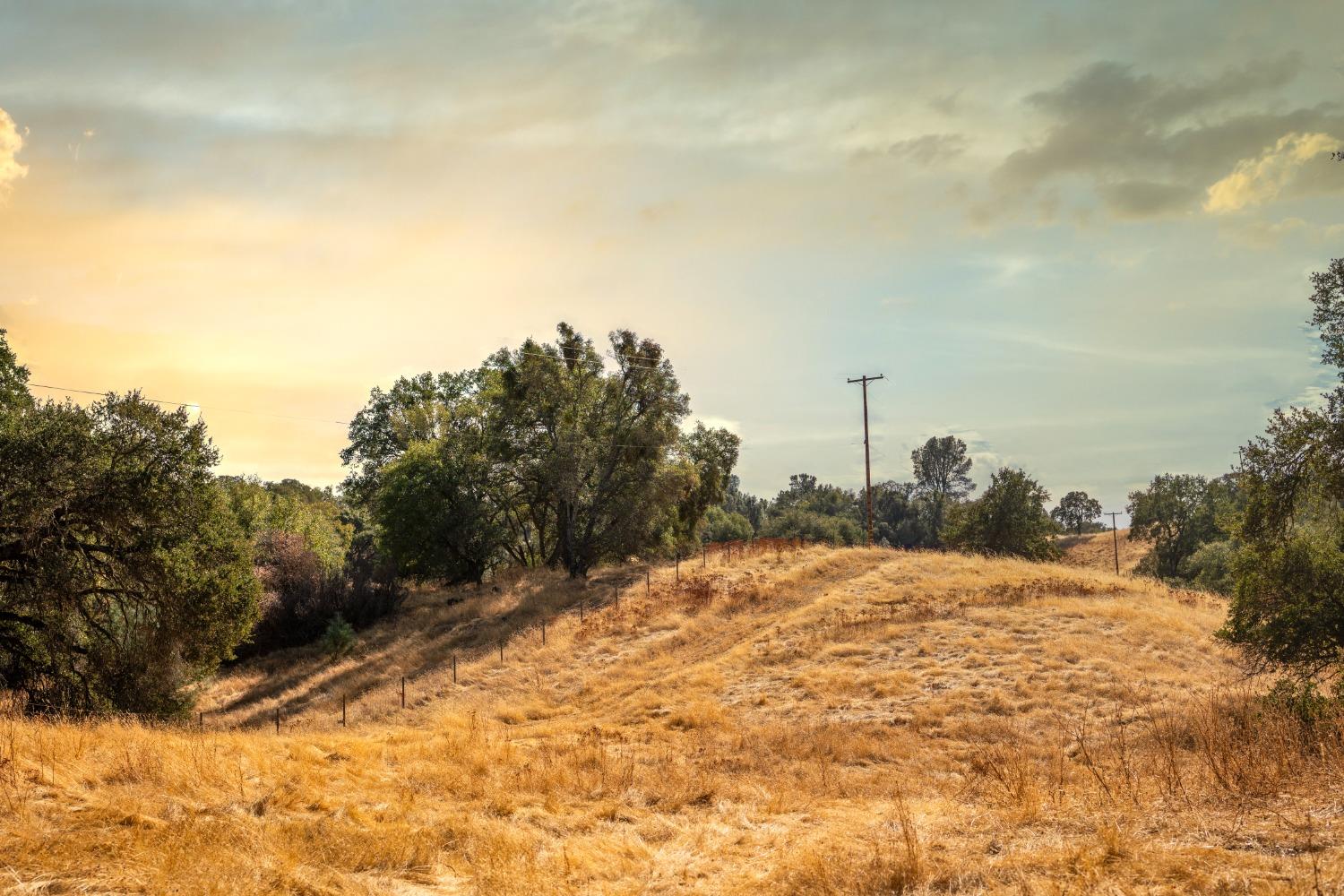 Detail Gallery Image 71 of 89 For 6910 Tonzi Rd, Ione,  CA 95640 - 3 Beds | 3/1 Baths