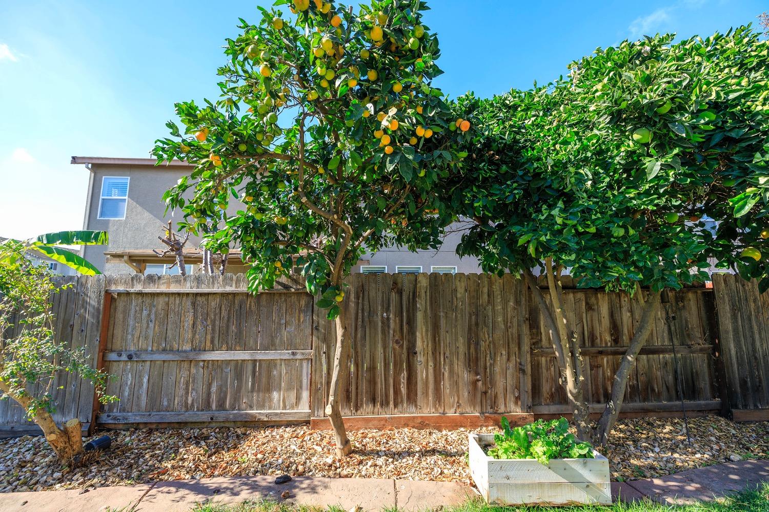 Detail Gallery Image 79 of 81 For 2901 Escalon Pl, Modesto,  CA 95355 - 4 Beds | 3 Baths