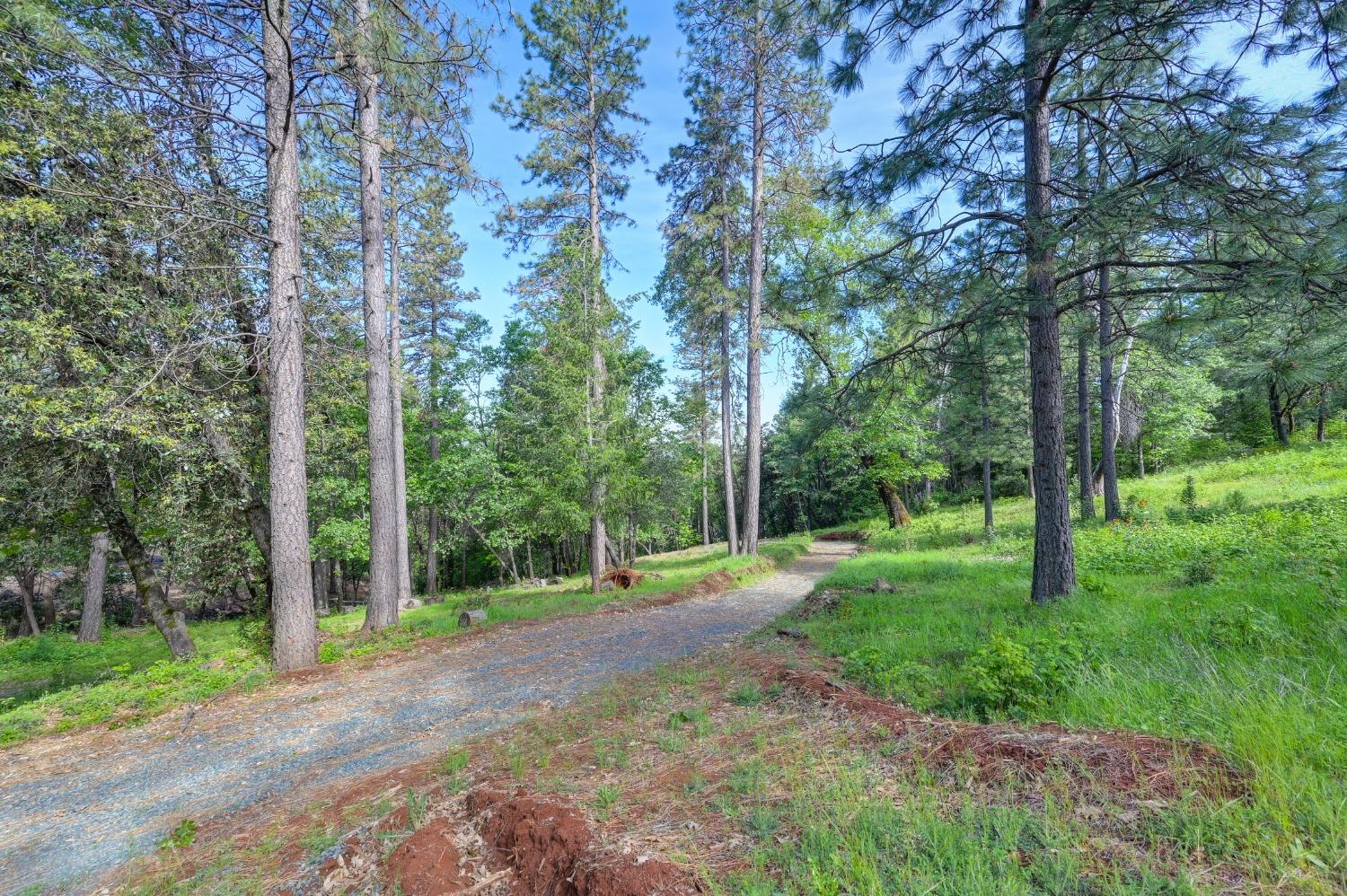 Whitehawk Ridge Court, Foresthill, California image 3