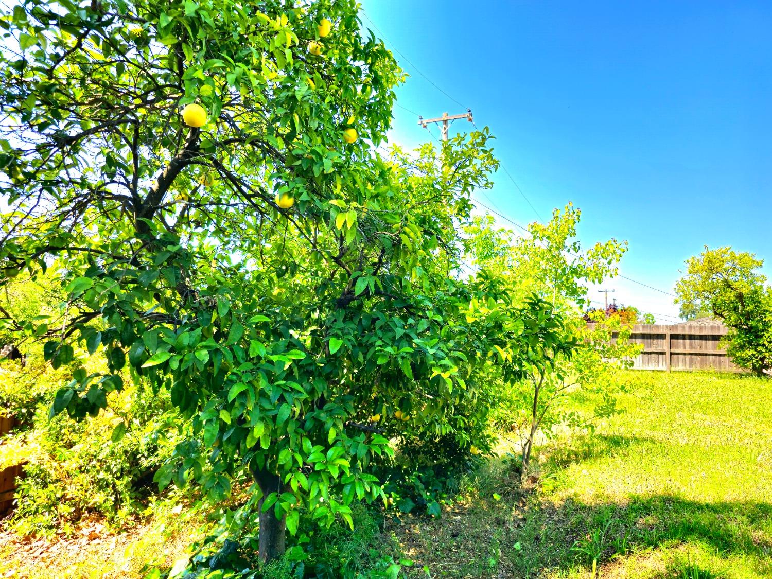 Detail Gallery Image 27 of 29 For 5813 Eastridge Dr, Sacramento,  CA 95842 - 4 Beds | 2 Baths