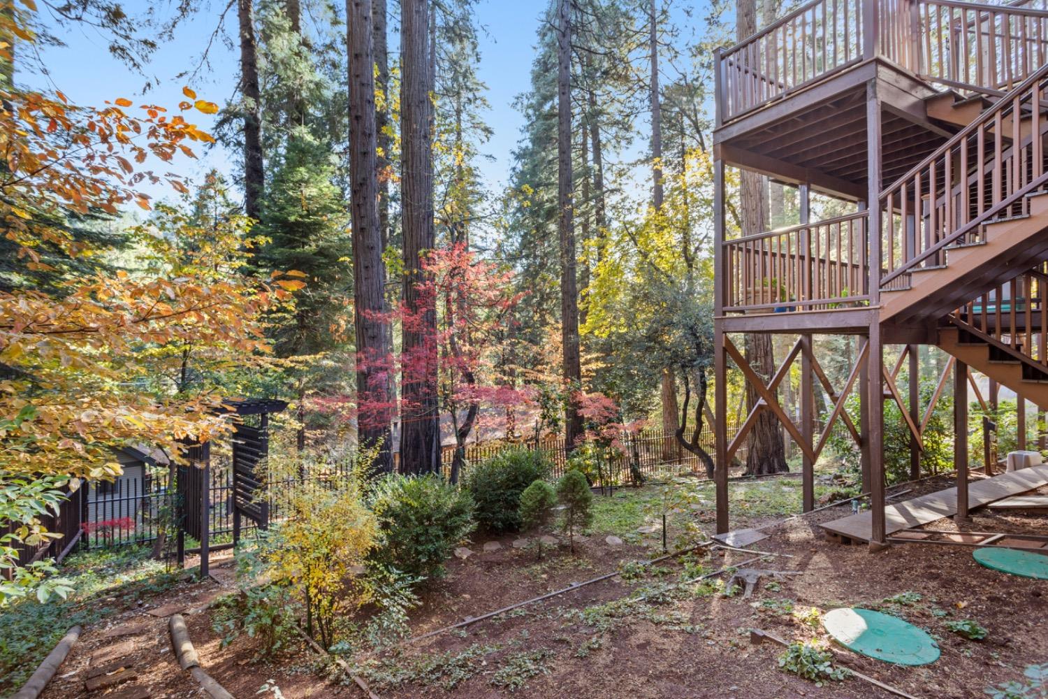 Detail Gallery Image 21 of 24 For 3238 Gold Ridge Trl, Pollock Pines,  CA 95726 - 3 Beds | 2/1 Baths