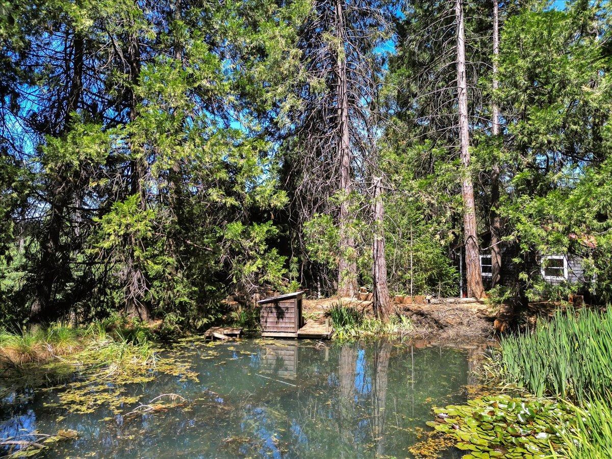 Detail Gallery Image 43 of 71 For 13874 Greenhorn Rd, Grass Valley,  CA 95945 - 2 Beds | 2/1 Baths