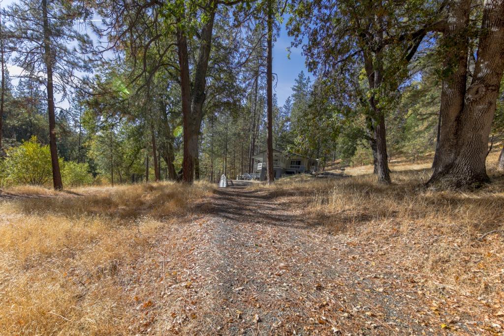 Detail Gallery Image 47 of 62 For 6098 Quartz Mine Rd, Mountain Ranch,  CA 95246 - 3 Beds | 3 Baths