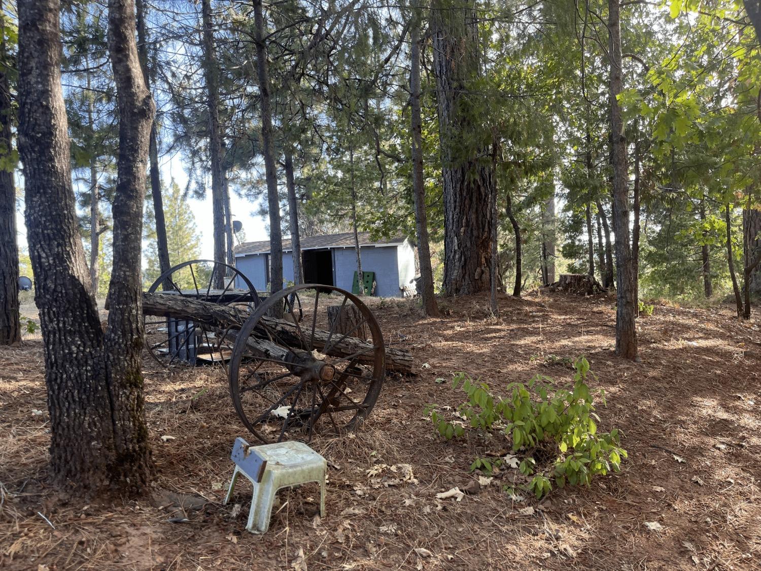 Detail Gallery Image 28 of 54 For 5000 Omo Ranch Rd, Somerset,  CA 95684 - 3 Beds | 1/1 Baths