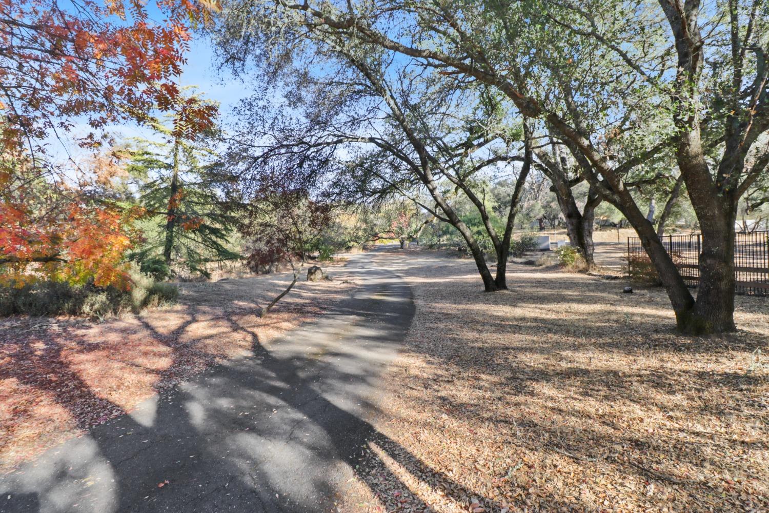 Detail Gallery Image 41 of 57 For 5480 Auburn Folsom Rd, Granite Bay,  CA 95746 - 5 Beds | 3/1 Baths