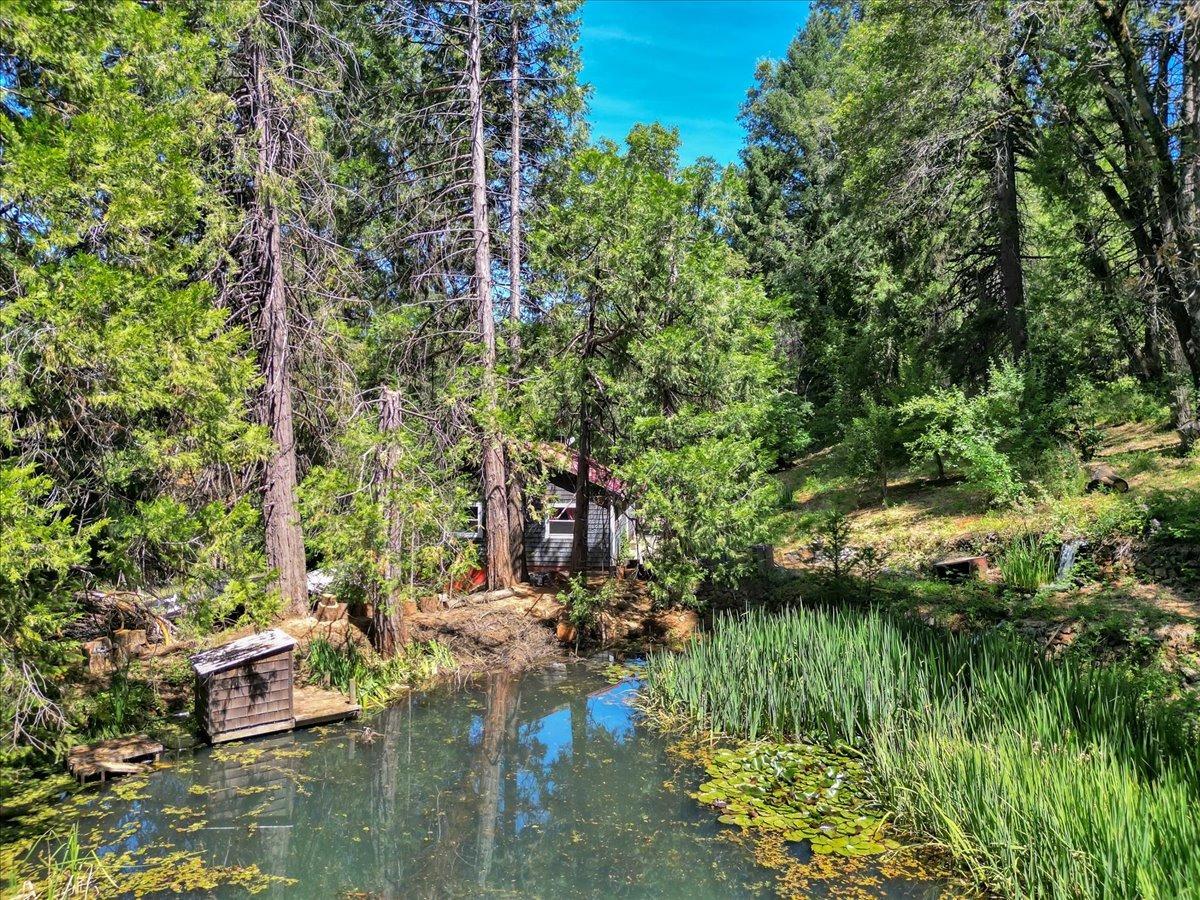 Detail Gallery Image 44 of 71 For 13874 Greenhorn Rd, Grass Valley,  CA 95945 - 2 Beds | 2/1 Baths