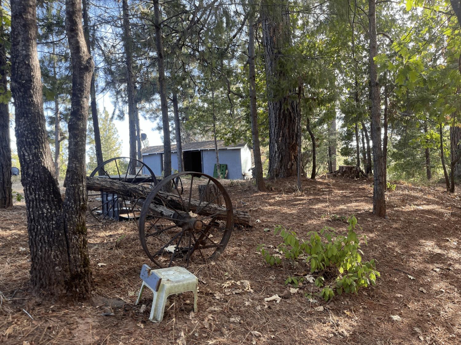 Detail Gallery Image 10 of 54 For 5000 Omo Ranch Rd, Somerset,  CA 95684 - 3 Beds | 1/1 Baths