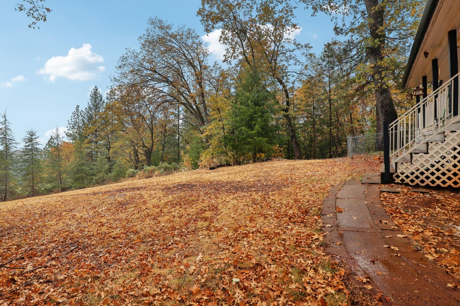 Detail Gallery Image 46 of 62 For 14795 Royal Flush Ct, Grass Valley,  CA 95945 - 3 Beds | 2/1 Baths