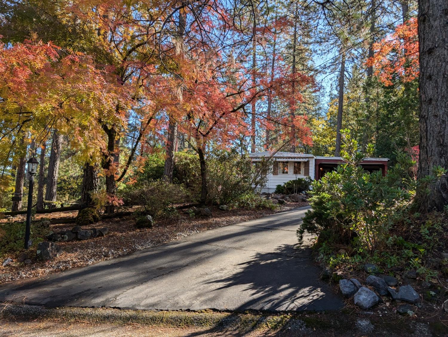 Detail Gallery Image 1 of 41 For Address Is Not Disclosed, Applegate,  CA 95703 - 3 Beds | 1/1 Baths