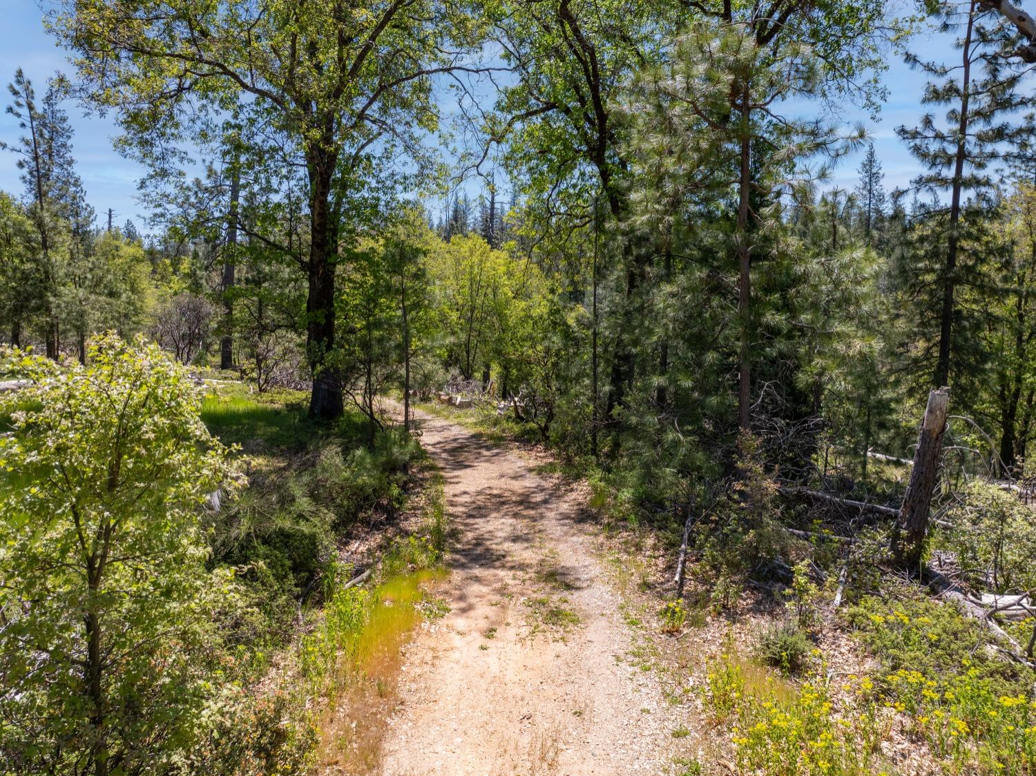 Detail Gallery Image 11 of 12 For 5199 Lone Star Rd, Wilseyville,  CA 95257 - – Beds | – Baths