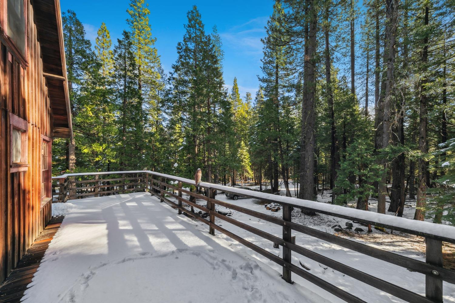 Detail Gallery Image 17 of 17 For 6 Gerle Crk, Pollock Pines,  CA 95726 - 3 Beds | 1 Baths