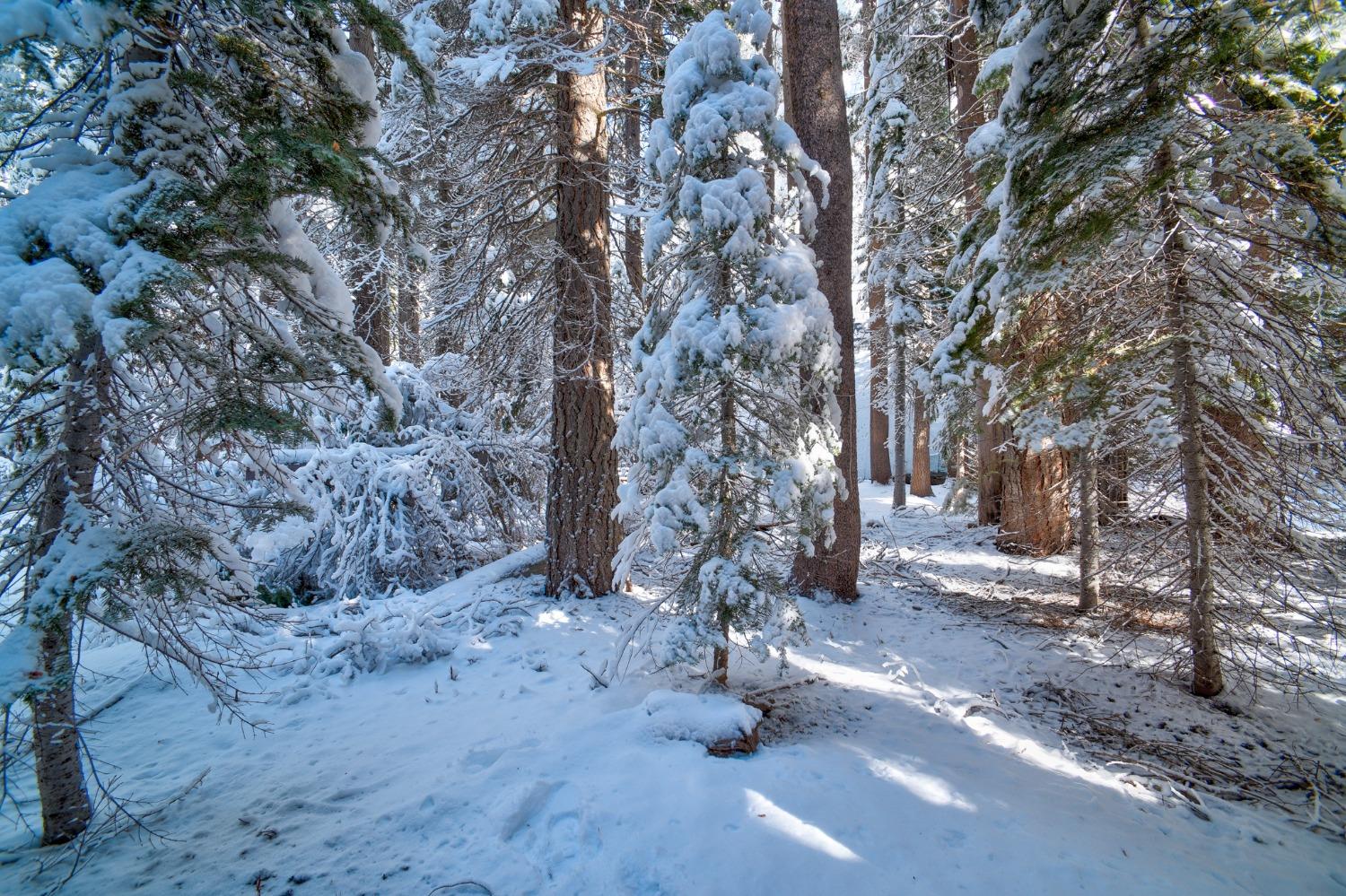 Detail Gallery Image 28 of 28 For 51086 Conifer Dr, Soda Springs,  CA 95728 - 2 Beds | 1 Baths