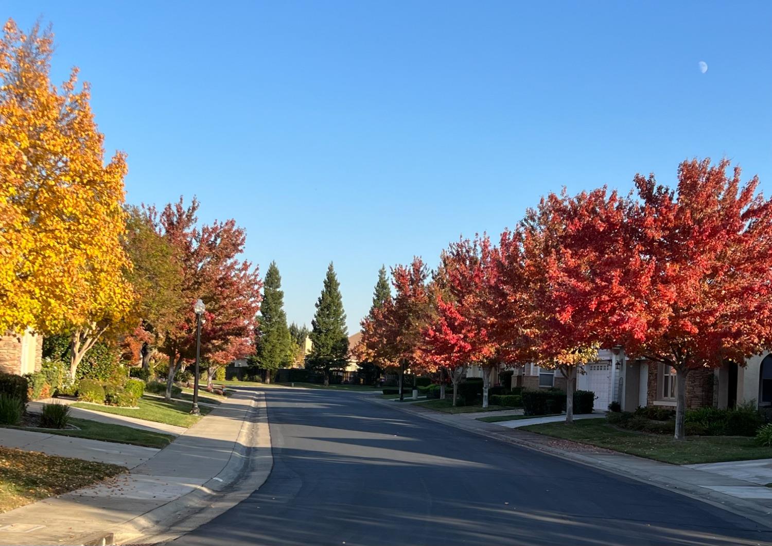 Detail Gallery Image 50 of 99 For 2777 San Marin Ln, Sacramento,  CA 95835 - 2 Beds | 2 Baths