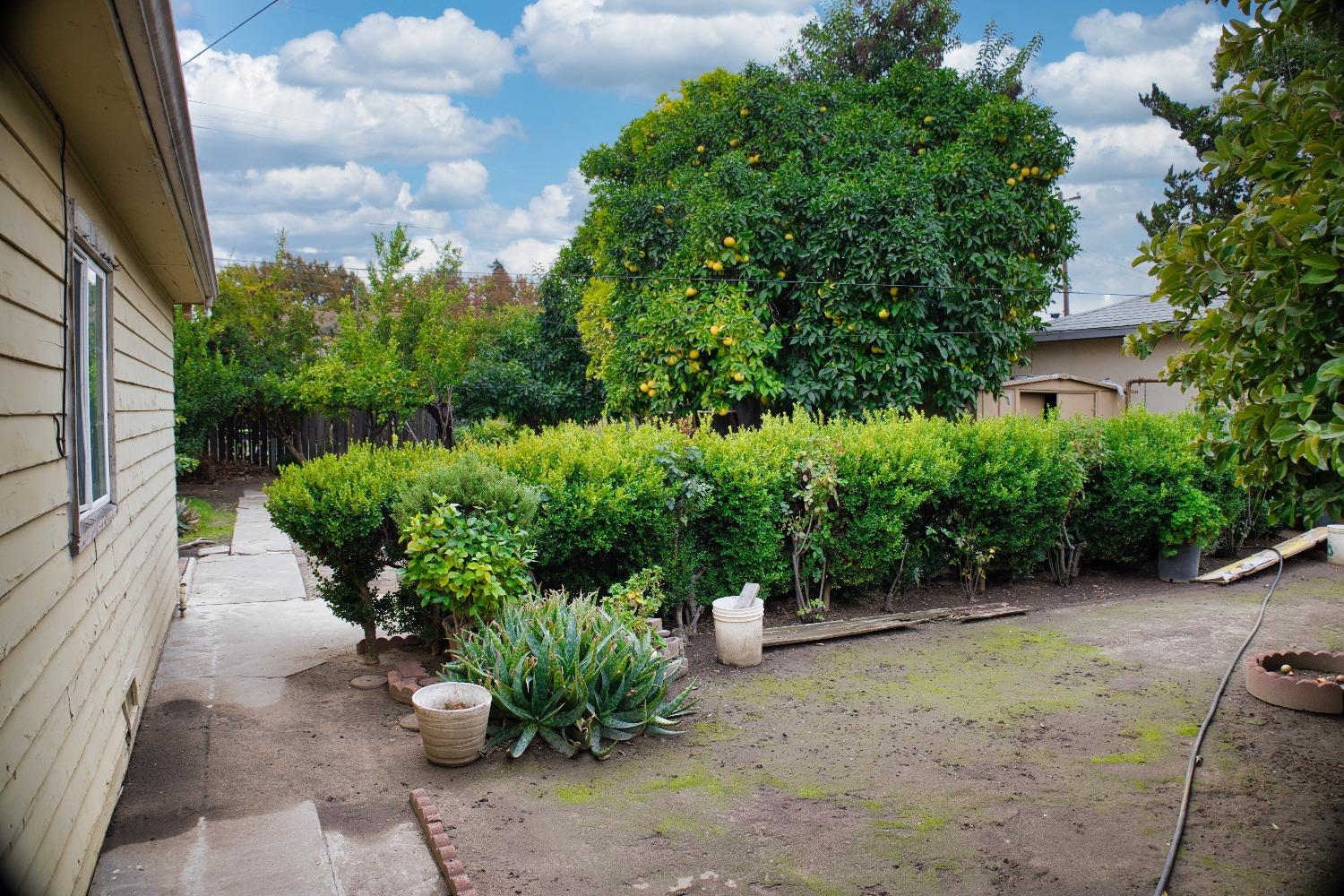 Detail Gallery Image 5 of 19 For 236 Watson St, Lodi,  CA 95240 - 2 Beds | 1/1 Baths