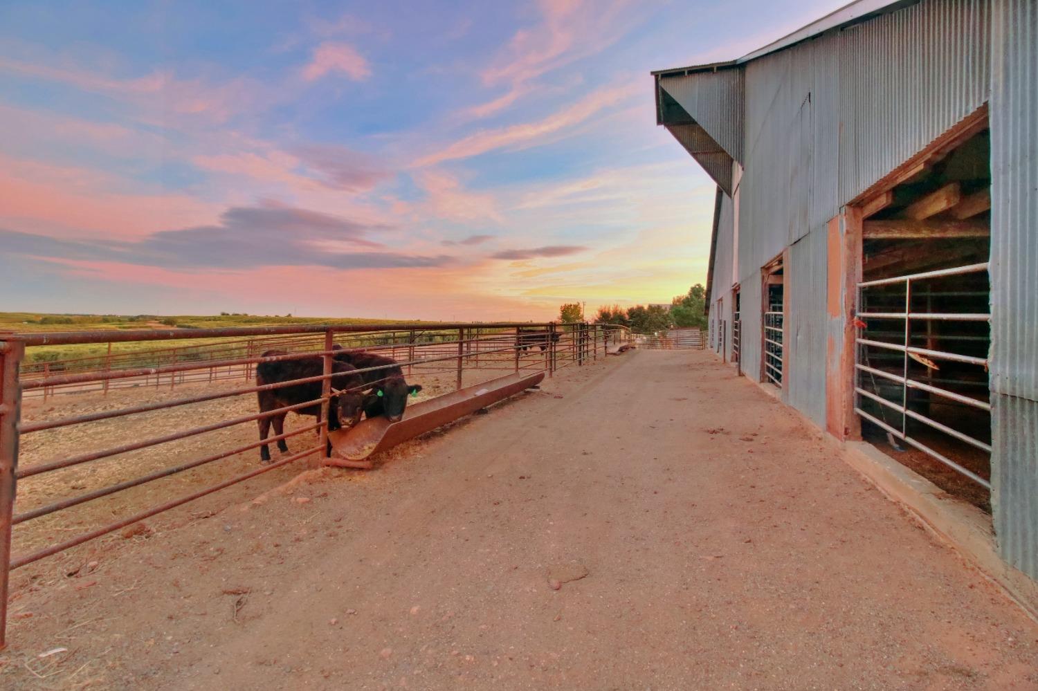 Detail Gallery Image 57 of 72 For 32640 County Road 19, Woodland,  CA 95695 - 7 Beds | 4/1 Baths