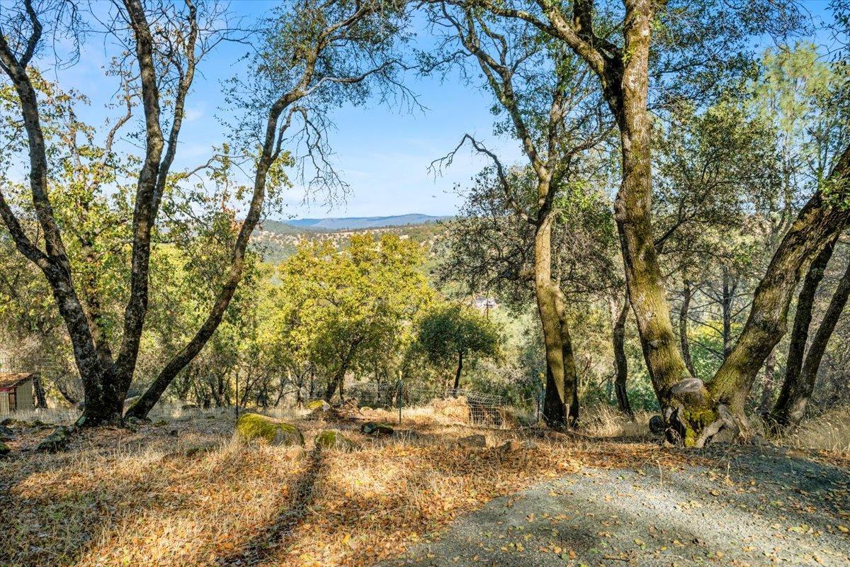 Detail Gallery Image 67 of 71 For 21300 Bald Ridge Dr, Penn Valley,  CA 95946 - 3 Beds | 3/1 Baths