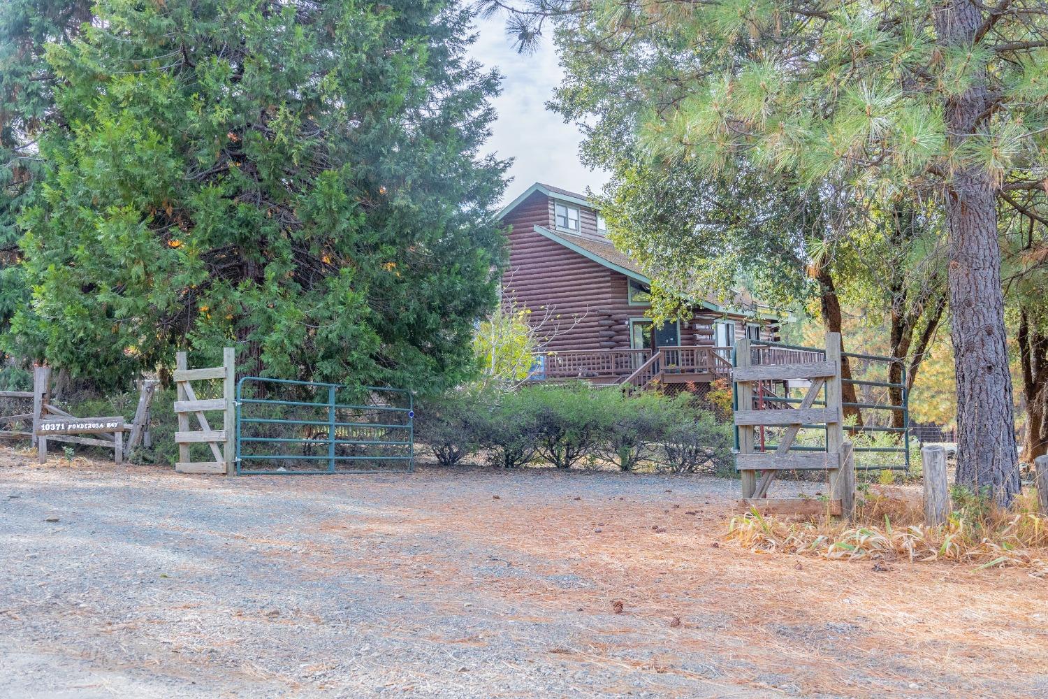 Detail Gallery Image 33 of 64 For 10371 Ponderosa Way, Pine Grove,  CA 95665 - 3 Beds | 3/1 Baths