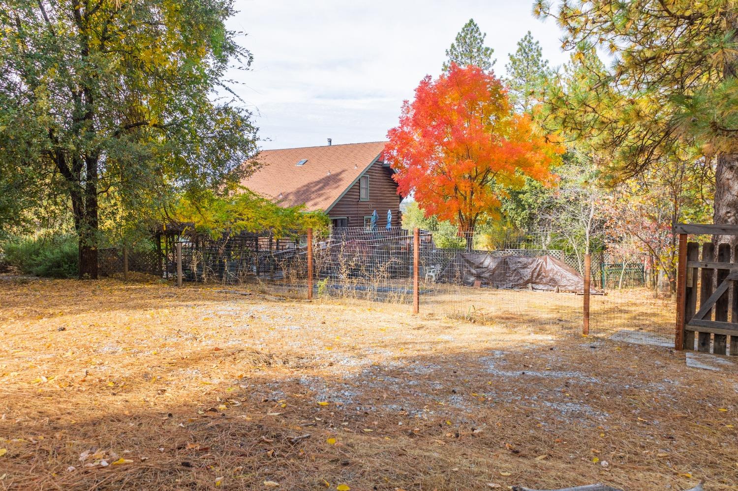 Detail Gallery Image 43 of 64 For 10371 Ponderosa Way, Pine Grove,  CA 95665 - 3 Beds | 3/1 Baths