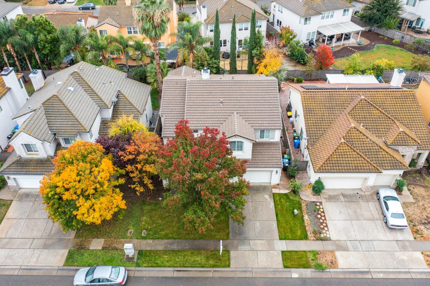 Detail Gallery Image 42 of 53 For 5604 Spring Flower Dr, Elk Grove,  CA 95757 - 5 Beds | 3 Baths