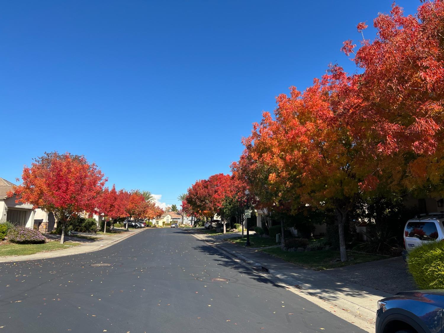 Detail Gallery Image 51 of 99 For 2777 San Marin Ln, Sacramento,  CA 95835 - 2 Beds | 2 Baths