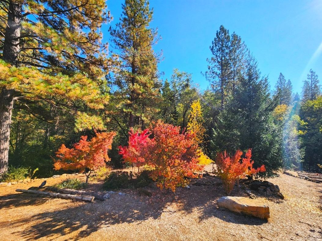 Detail Gallery Image 86 of 93 For 955 Grinding Rock Ct, West Point,  CA 95255 - 2 Beds | 2 Baths