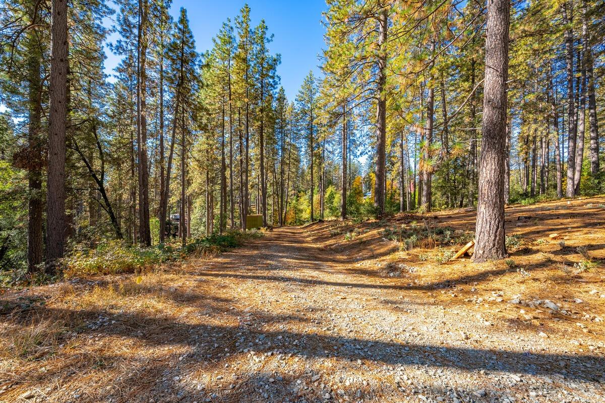 Detail Gallery Image 25 of 40 For 10107 Shekinah Hill Rd, Nevada City,  CA 95959 - – Beds | – Baths