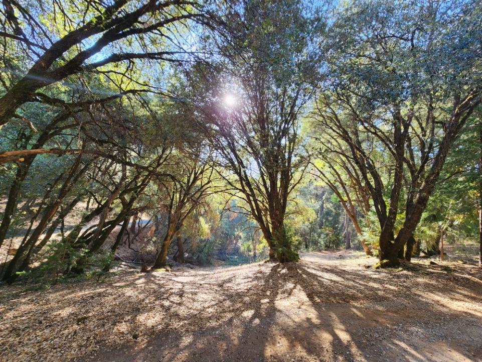 Detail Gallery Image 83 of 84 For 17535 Humbug Creek Rd, Glencoe,  CA 95232 - 1 Beds | 1 Baths