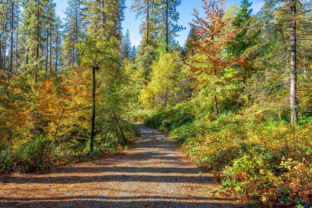 Detail Gallery Image 2 of 40 For 10107 Shekinah Hill Rd, Nevada City,  CA 95959 - – Beds | – Baths