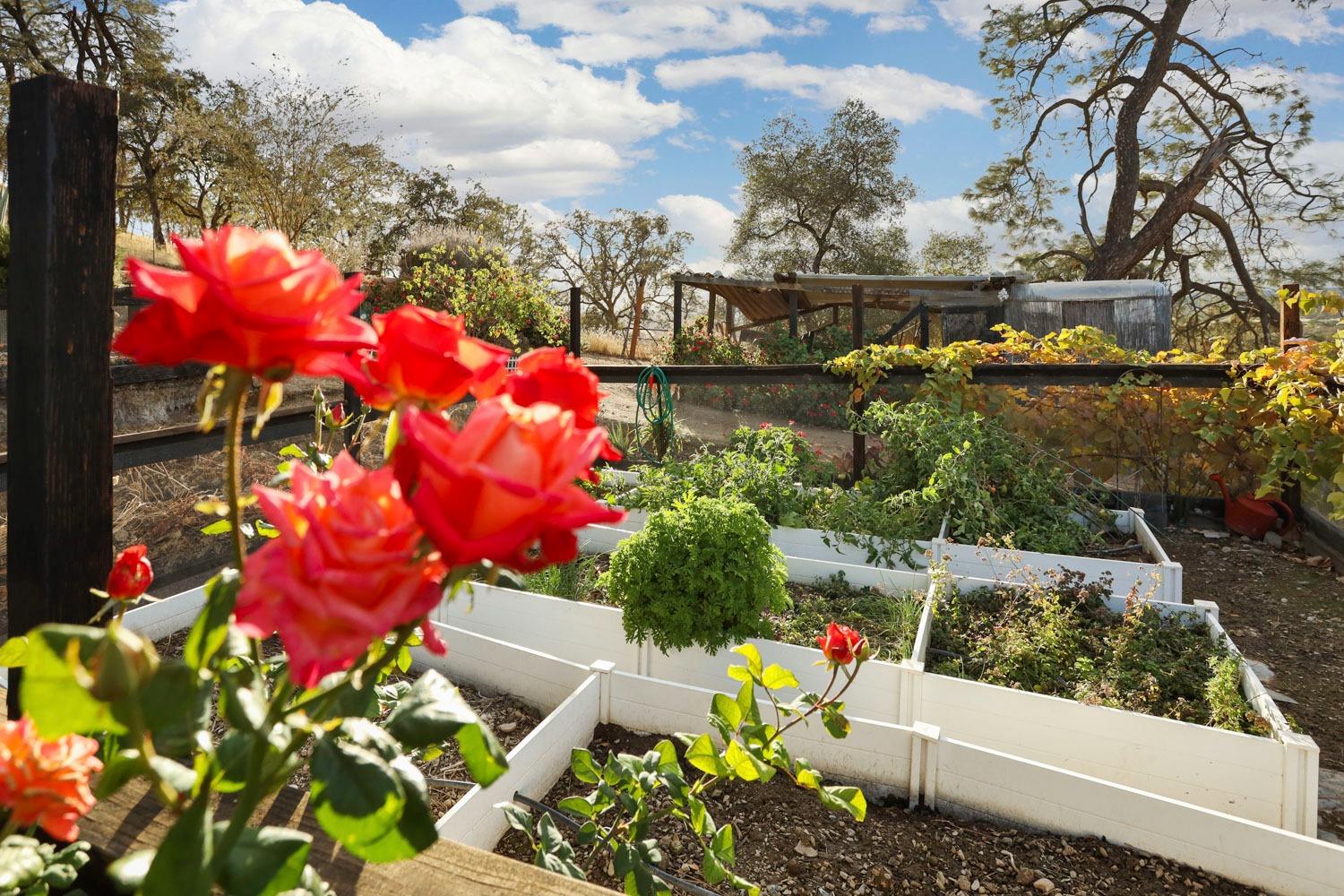 Detail Gallery Image 83 of 98 For 178 Carmel Rd, Burson,  CA 95225 - 2 Beds | 1 Baths