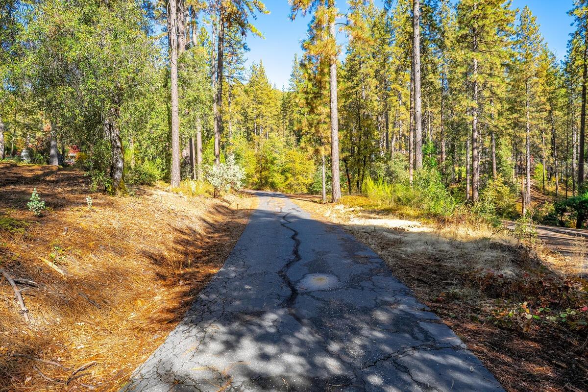 Detail Gallery Image 22 of 40 For 10107 Shekinah Hill Rd, Nevada City,  CA 95959 - – Beds | – Baths