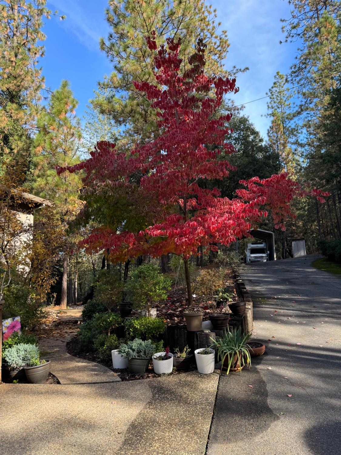 Detail Gallery Image 84 of 84 For 430 Hillside Dr, Applegate,  CA 95703 - 3 Beds | 2 Baths