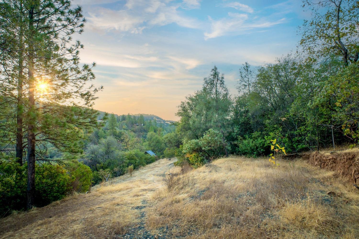 Detail Gallery Image 2 of 39 For 10932 Oak Canyon Dr, Penn Valley,  CA 95946 - – Beds | – Baths