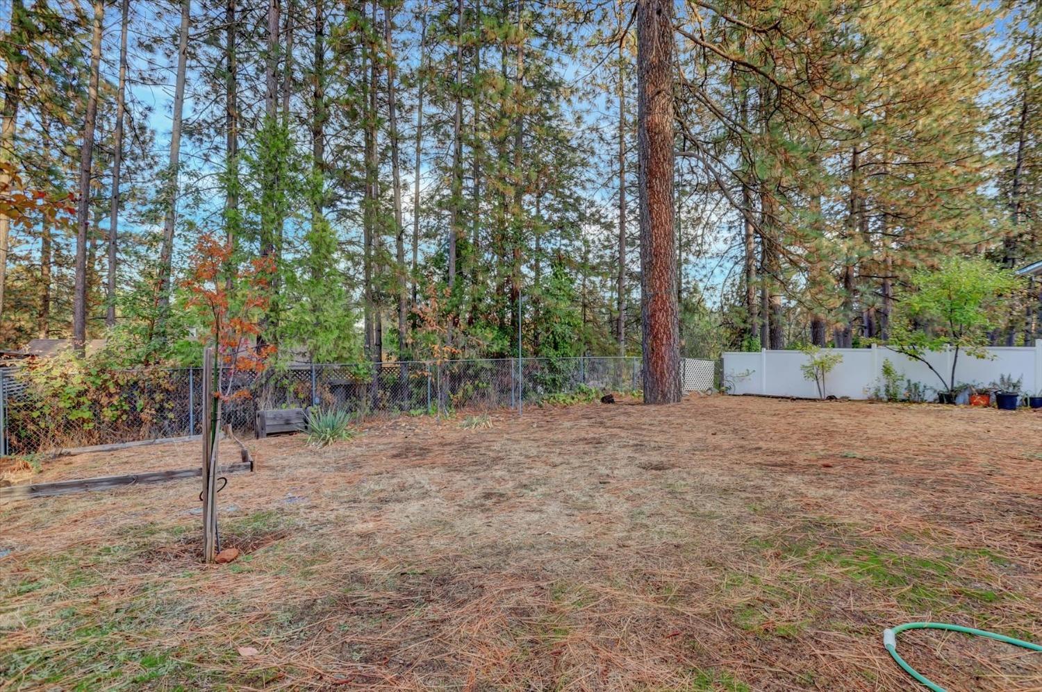 Detail Gallery Image 55 of 72 For 260 Cornwall Ave, Grass Valley,  CA 95945 - 3 Beds | 2 Baths