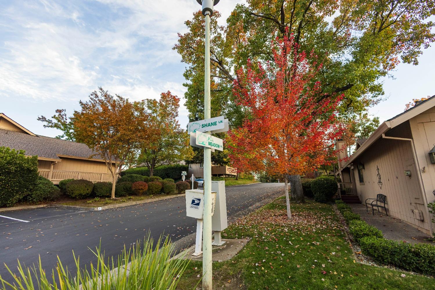 Detail Gallery Image 18 of 20 For 8189 Shane Ln, Citrus Heights,  CA 95610 - 2 Beds | 2 Baths