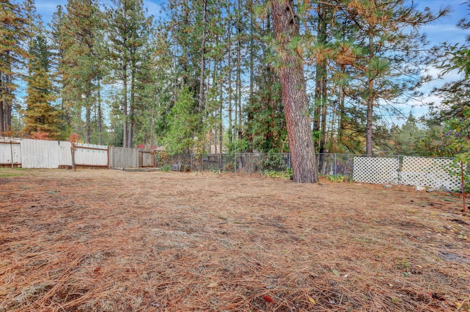 Detail Gallery Image 51 of 72 For 260 Cornwall Ave, Grass Valley,  CA 95945 - 3 Beds | 2 Baths