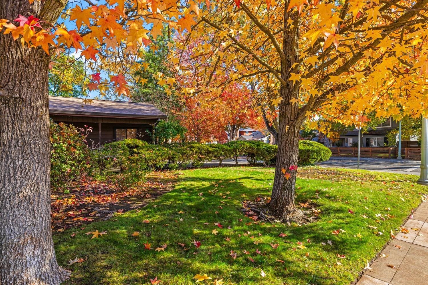 Detail Gallery Image 5 of 45 For 2401 10th Ave, Sacramento,  CA 95818 - 3 Beds | 1 Baths