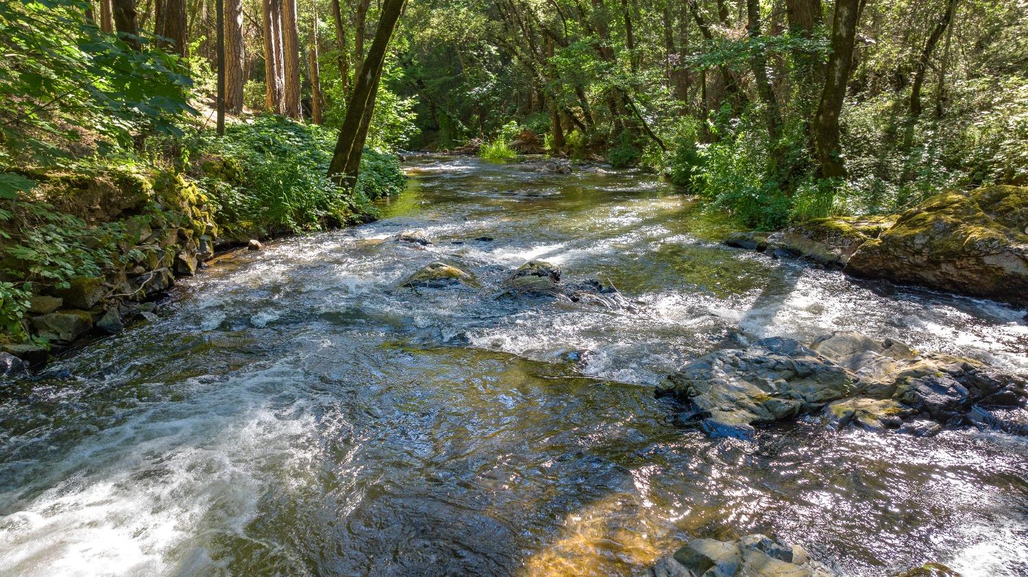 Detail Gallery Image 47 of 64 For 134 Buckingham Ct, Grass Valley,  CA 95949 - 3 Beds | 2 Baths